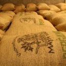 마야무역(주) 이미지