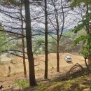 한마음아파트 B동 이미지