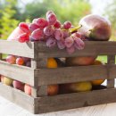 안산농장 이미지