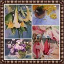 가온갤러리 이미지