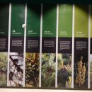 금강송테마전시관 이미지