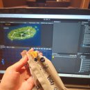 너구리PC(인-478호) | 2025 G-Star 관람 후기: 벡스코 현장 열기와 부스별 꿀팁 총정리