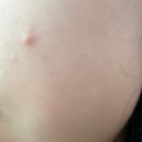 대치예스약국 이미지