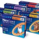 속편한동물약국 이미지