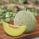 미자네 농장 이미지