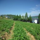 두레전자 이미지