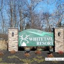 화이트테일 whitetail 네이버블로그