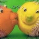 페스코 - 노원구 | 페스코