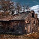 호재목장 이미지