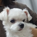 이화동물병원 이미지