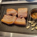백촌포항생막창