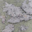 송정 풋살구장 이미지