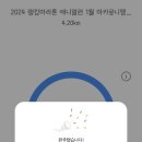 마카로니펭귄 - 강남구 | 마카로니펭귄