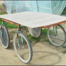 보신농장 이미지