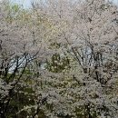 보문산로 이미지