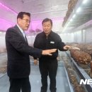 우성농장2농장 이미지