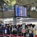 부산 김해국제공항 국제선터미널의 흔한 일상 이미지