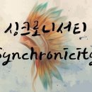 싱크로니서티 Synchronicity 이미지