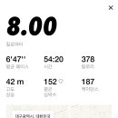 보스턴러닝