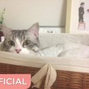 정혜지 네이버블로그