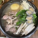 정준오리 이미지