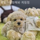 야옹아 멍멍해봐 계림점 이미지