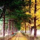 달과별의집민박 이미지