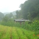 조전1리 이미지