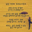 삶을 사랑해 보세요 이미지