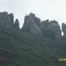 하늘갓 Daum카페