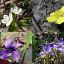 미꾸지 펜션 이미지