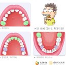 뉴욕플란트치과의원 네이버블로그