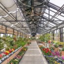 동동하우스 이미지