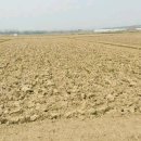 벽진농장 이미지