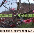 명심보감 이미지