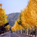 삼거리PC 이미지