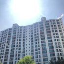 신나무실육교 이미지