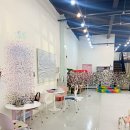 코아애견 이미지