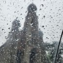 길거리야 이미지