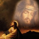 2025년/ 11 월 넷 째주일 낮예배 대표 기도문 이미지