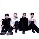 바른손더블유아이피