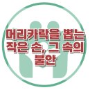 [머리카락을 뽑는 작은 손, 그 속의 불안] 한국아동청소년심리상담센터 이미지