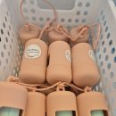 파파독 동해 이미지