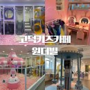 위시존평택고덕 | 평택 고덕 원더빌 키즈카페 평일 방문 찐후기