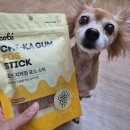 덴탈포스 | 강아지덴탈껌 꼬뜨치카껌 노견 가수분해간식 솔직 후기