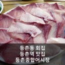 등촌2동223 | 등촌동회집 등촌역맛집 등촌종합어시장에서 가성비 최고의 방어 먹었어요