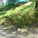 대신축사 이미지