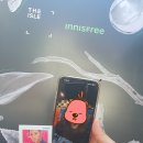 그린라이팅 네이버블로그