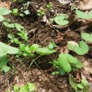 방글농장 이미지