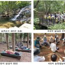 치유의숲 이미지